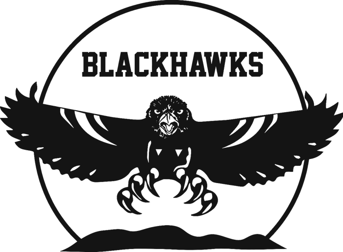 Blackhawks hawk logo